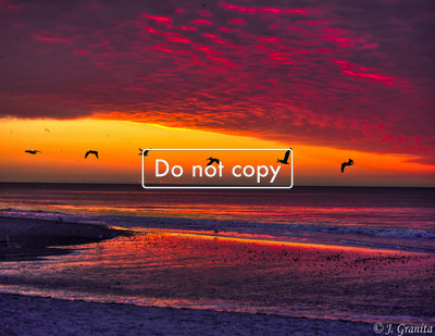 Sunrise with birds flying #10-39