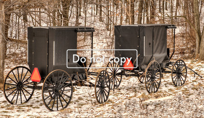 Amish Buggies