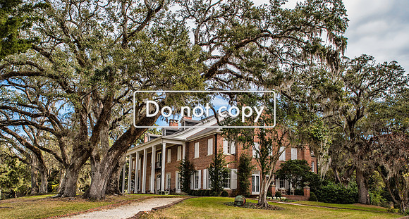 DSC_6679  Hobcaw House