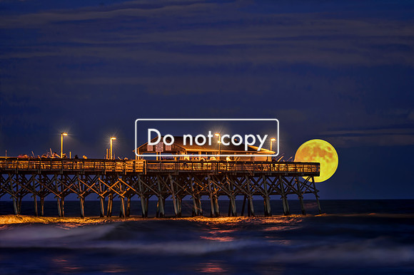 Full Beaver Mooon Garden City Pier