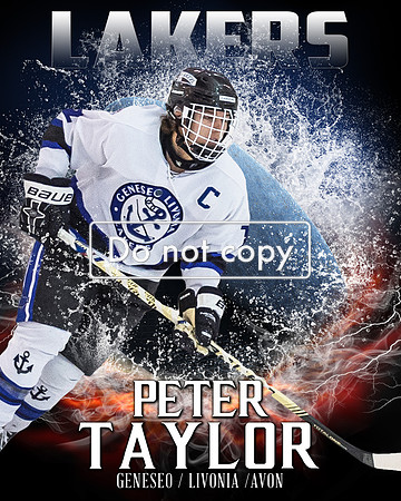Taylor 1