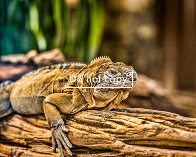 DSC_5972-Edit