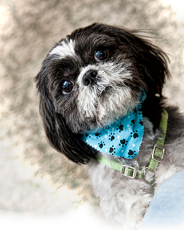 _DSC4165quincy2012