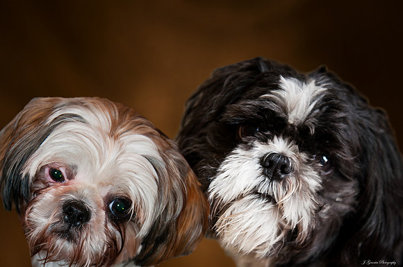 Quincy & Emmy #10-63