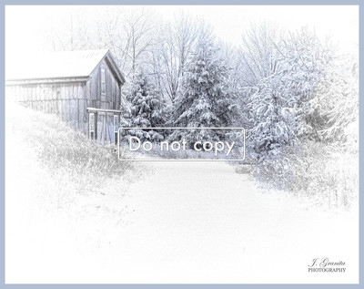 _JGP1481  Winter scene 2014