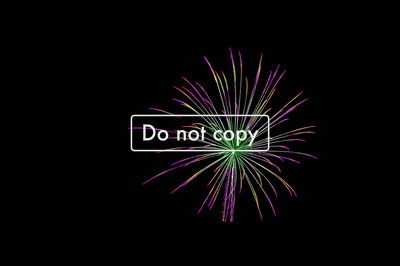 Fireworks #116-09