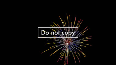 Fireworks #110-09