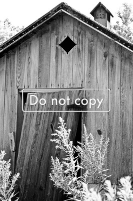 Outhouse #148-09