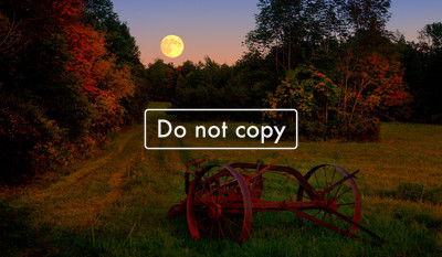 _JGP4394 Harvest Moon