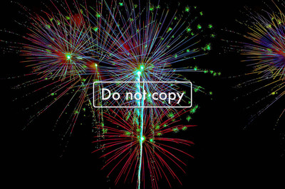 Fireworks #113-09